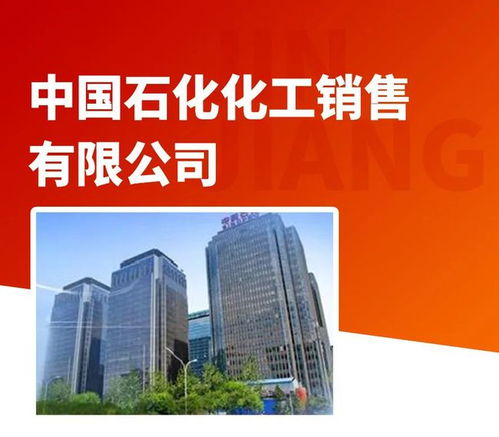 一把手 招商 晉江密集對接大項目