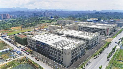 恩施電子 強(qiáng)勢(shì)崛起