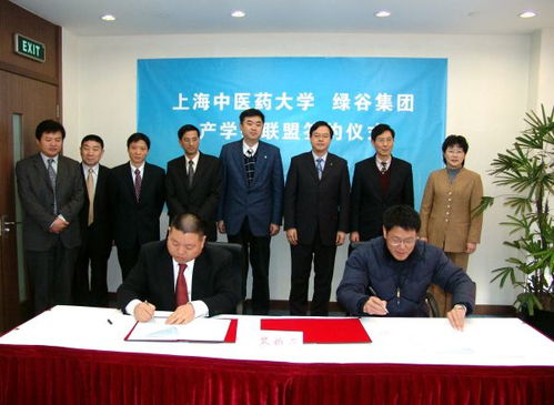 綠谷集團(tuán)的綠谷沿革