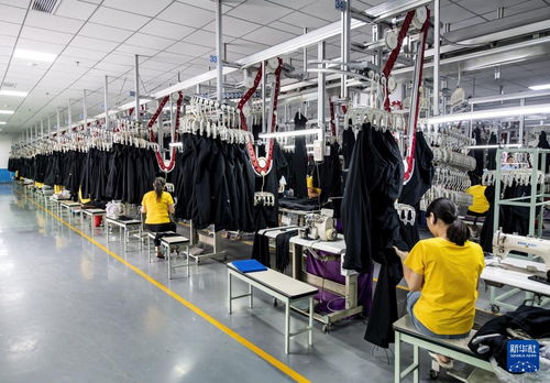 新華全媒 丨從家庭作坊到現(xiàn)代化工廠 從鄉(xiāng)鎮(zhèn)企業(yè)到國(guó)際知名企業(yè) 探訪福建晉江民營(yíng)企業(yè)