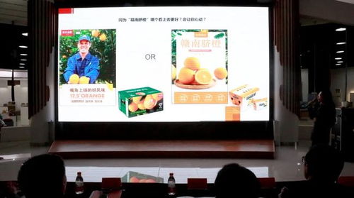 千乘杯 博興縣首屆電商產品包裝創意設計大賽頒獎典禮舉行