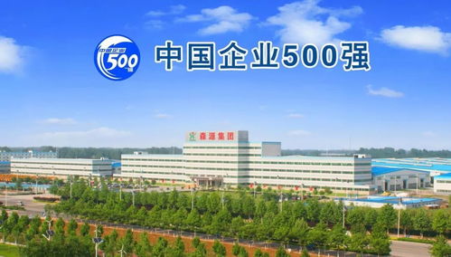 森源在許昌大會上受表彰,獎金410萬 許昌市第一名