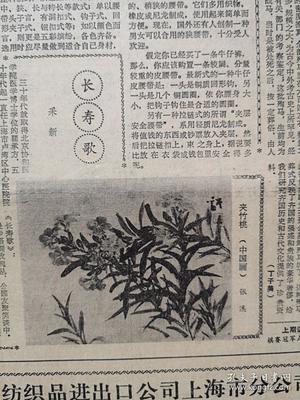 文匯報1985年7月13日我國將建博士后科研流動站,晉江假藥案的前前后后引出教訓(xùn),上海建立上海師范專科學(xué)校和上海幼兒師范專科學(xué)校,司徒達(dá)宏獨(dú)奏音樂會,上海中藥一廠人參蜂皇漿生產(chǎn)照片,虹口東興菜館 丁世華照片,陶瓷工藝美術(shù)師陳榮明側(cè)記附照片及照片,上海港水上消防史話,張溪國畫《夾竹桃郭德潔女士之死,》