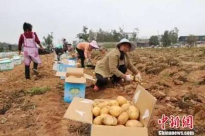 【觀點交鋒】竟有高校成立“龍蝦學院”!網(wǎng)友:我能一口氣念到博士后